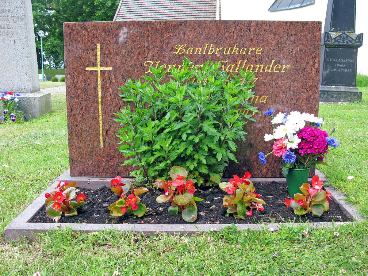 [Bild]